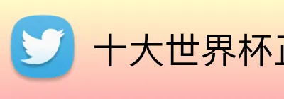十大世界杯正规买球网站 Logo